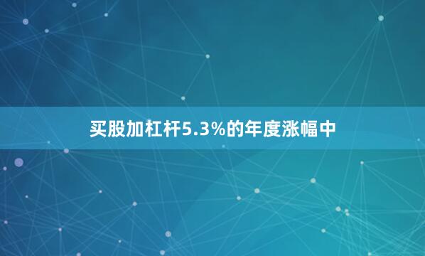 买股加杠杆5.3%的年度涨幅中